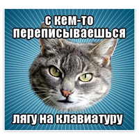 ? Мемы с Котом @TuristasTV 