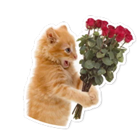 Милые Питомцы @StikeryTG