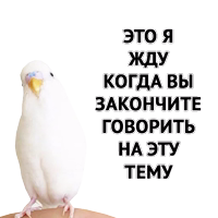 Котики от @MedMary 