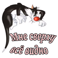 Кот Сильвестр :: @animesticks 