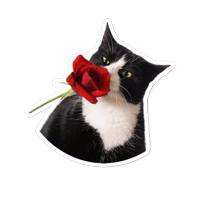 Милые Питомцы @StikeryTG 