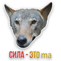 Недомашние животные :: @kgh_moscow 