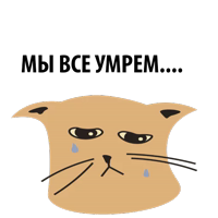 Кошка со смыслом