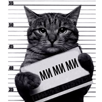 Кот Рецидивист