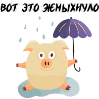 Зимний Хрюня @stickerus 