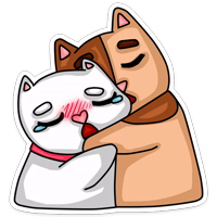 Котики Ты и Я