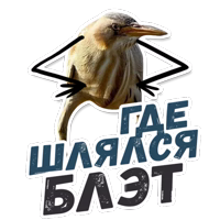 ТАК БЛЭТ @StikeryTG 