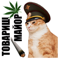 Таков мой замысел