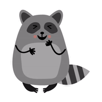 Raccoon_Nikita