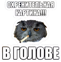 Типичный художник (@I_am_artist )