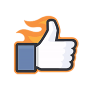 Facebook Likes