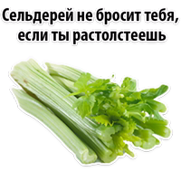 Факты о Сельдерее @TuristasTV 