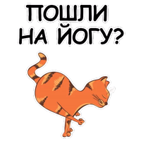 Йога с Котом и Лисичкой @Samopoz 