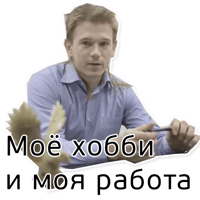 Веб-студия Сокол