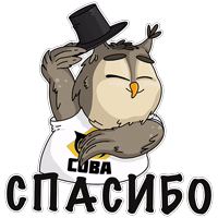 Сова - душа компании