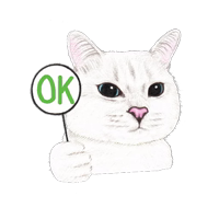 Nala & White Coffee Cat