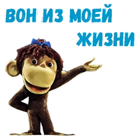 38 попугаев :: @animesticks 