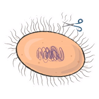 Unicellular stickers