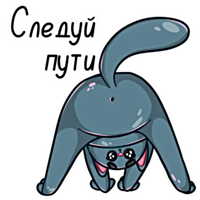 ЙогоКотики