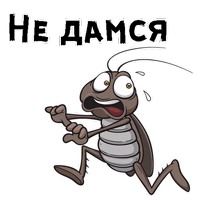 Таракашки ::  @animesticks 