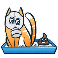 Шифрокот (@hidemyname_ru )