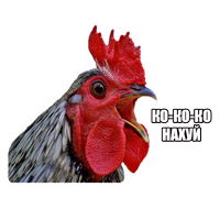 Ебанутые Животные (@memenimal )