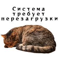 Колкие фразы