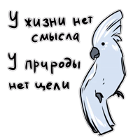 Злые попугайчики (@artstriks )