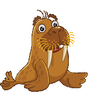 моржи и киты