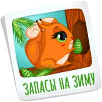 Белочка Веста @by_ance 