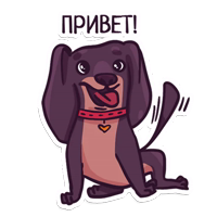 Dachshund taxa dog @artrarium 