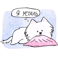 Самоедик Ачи