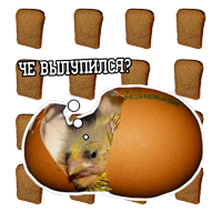 Pigeon and philosophy