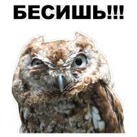 Животные @eeZee_stickers 