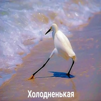 Uprt  Animals by @stickerus 