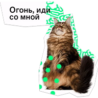 Позируй Псина