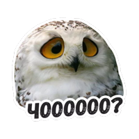 Жиза сов @lennysticker 