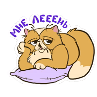 Кот Ленивец