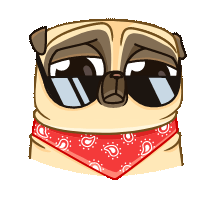Penny Pug