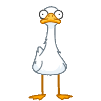 Funky Goose