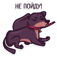 Dachshund taxa dog @artrarium 