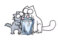 simon's cat