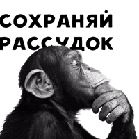 Primatus sapiens by @DGStickers 