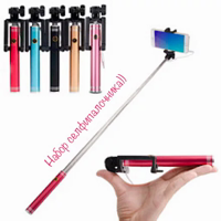 Селфи палочник