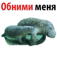 Мишенька ЛАМАНТИН @TuristasTV 