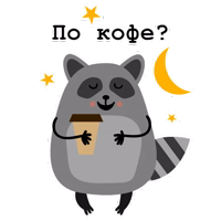 Raccoon_Nikita