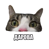 Ебанутые Животные (@memenimal )