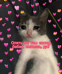 Няшные Пикчи