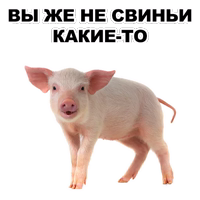 Свинопак @eeZee_stickers 
