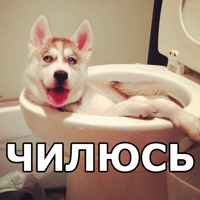 КОКОИ ТИ ПЕС